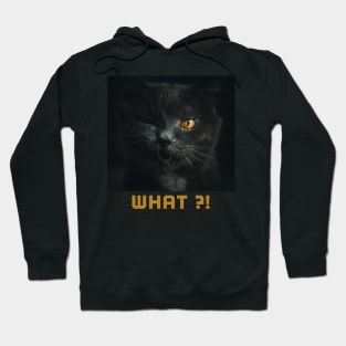 Black cat what ?! Hoodie